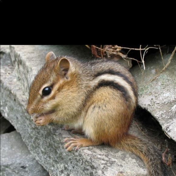 Meet your Posher, Angela - Picture 1 of 1